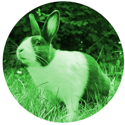 Rabbit Garden Software